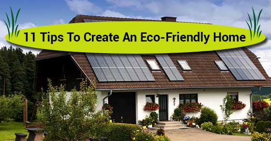 11 Tips To Create An Eco-Friendly Home