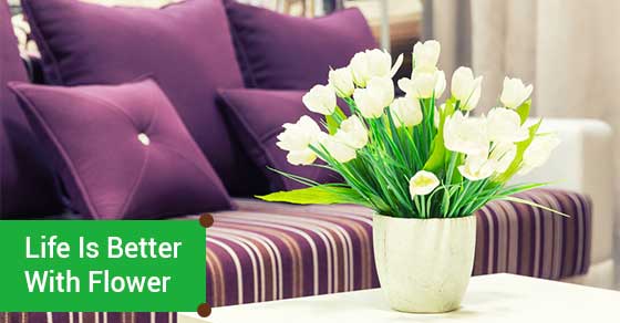 How flowers in your home will better your life featured image