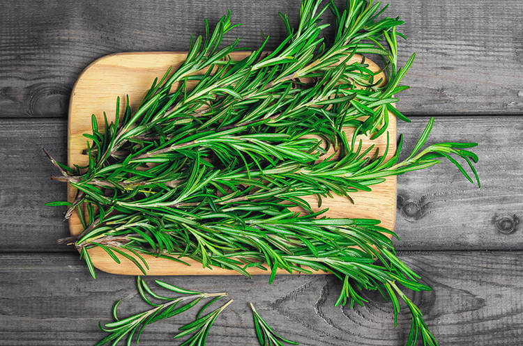 Dunpar Blog - harvesting, preserving and cooking with herbs-body2